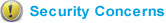 Security Concerns